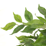Grüne Blätter der Kunstpflanze FICUS I von hjh OFFICE