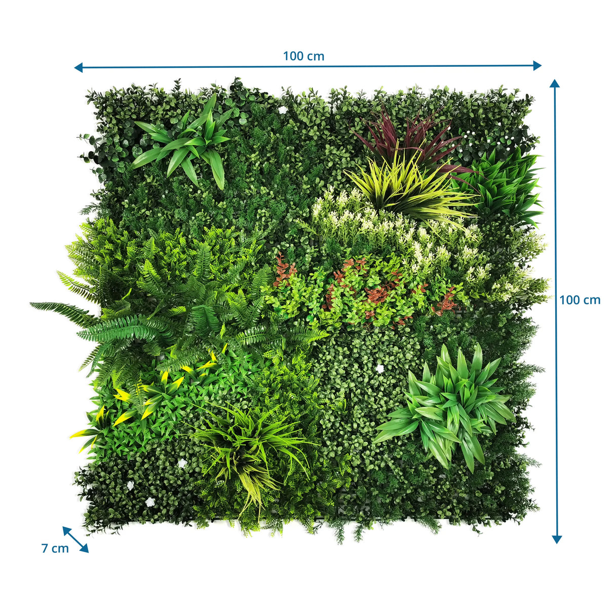 Maßzeichnung der Pflanzenmatte LEAFLUXE 3D mit 100 × 100 × 7 cm von hjh LIVING