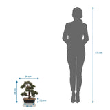 Maßansicht der Kunstpflanze BONSAI mit einer Höhe von 44 cm im Vergleich zu einer Person von hjh OFFICE
