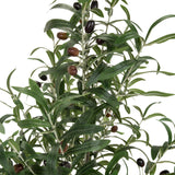 Blätter und dunkle Oliven der Kunstpflanze OLIVE von hjh OFFICE