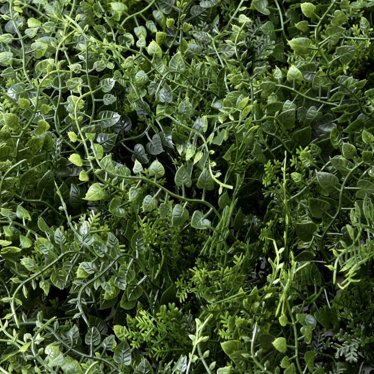 Grüne Blätter der Pflanzenmatte LEAFLUXE 2 von hjh LIVING
