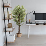 Kunstpflanze FICUS in Grün mit einem geflochtenen Korb als Pflanzgefäß von hjh OFFICE