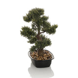 Grüne Kunstpflanze BONSAI in Form eines Bonsais in einem schwarzen Topf mit Kieselsteinen von hjh OFFICE – 360-Grad-Ansicht (Frontansicht 0°)