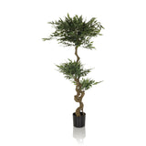 Grüne Kunstpflanze ACACIA mit gewundenem Stamm im schwarzen Topf von hjh OFFICE – 360-Grad-Ansicht (Frontansicht 0°)