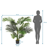 Maßzeichnung der Kunstpflanze ARECA II mit einer Höhe von 150 cm und Breite von 64 cm von hjh OFFICE