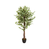 Grüne Kunstpflanze FICUS mit geflochtenem Stamm in einem schwarzen Topf von hjh OFFICE – 360-Grad-Ansicht (Frontansicht 0°)