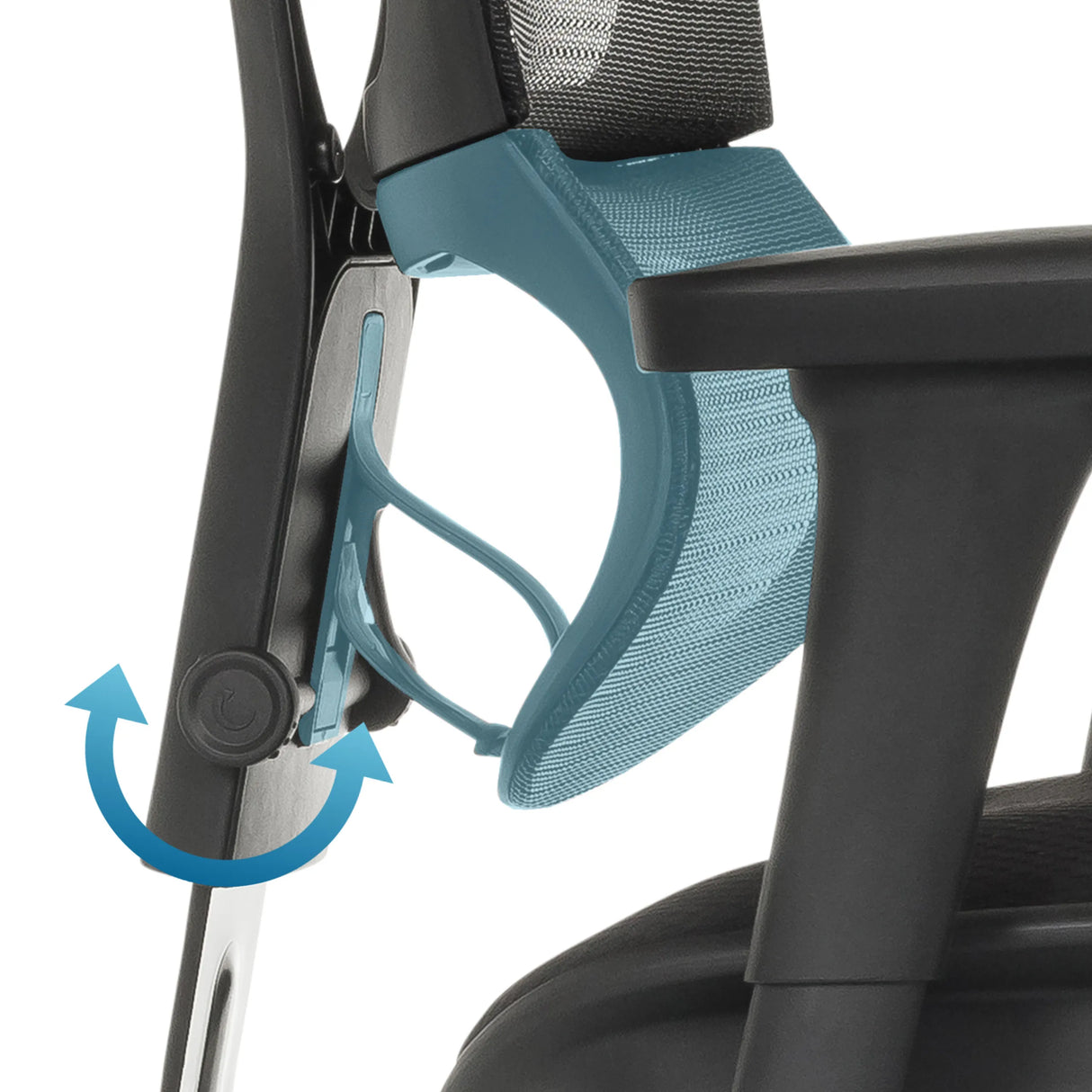 Verstellbare Armlehne des Luxus-Chefsessels ERGOHUMAN SLIM ECO F GEN2 mit blauem Kunststoffelement von hjh OFFICE
