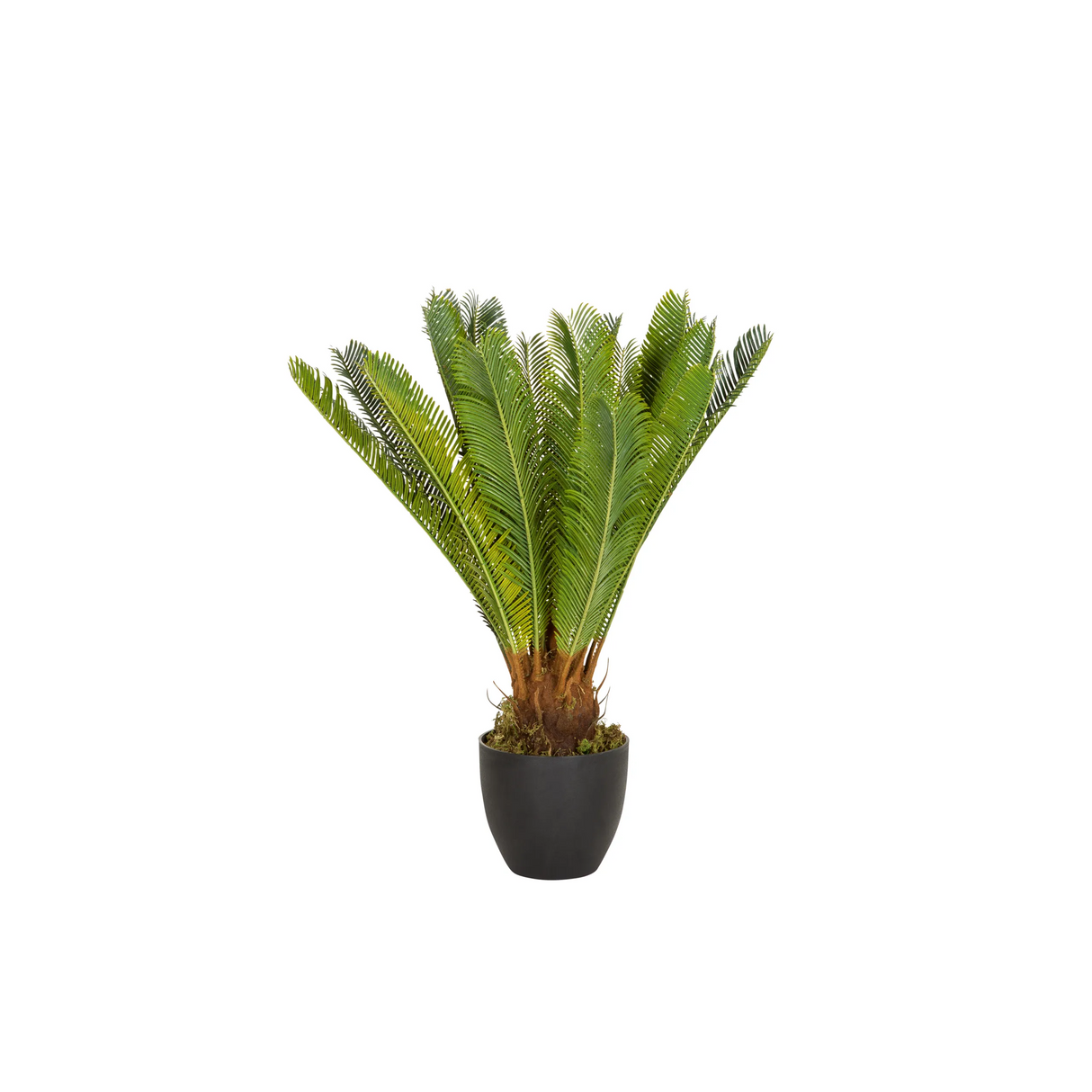 Grüne Kunstpflanze CYCAS in einem schwarzen Pflanztopf von hjh OFFICE – 360-Grad-Ansicht (Frontansicht 0°)