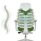 Rückenlehne des Profi-Bürostuhls ERGO LINE W in Mystic Forest mit schematischer Darstellung der Wirbelsäule von hjh OFFICE