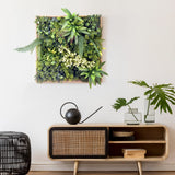 Grüne Pflanzenmatte LEAFLUXE WALL 1 mit verschiedenen Moosen und Farnen in einem Holzrahmen von hjh LIVING