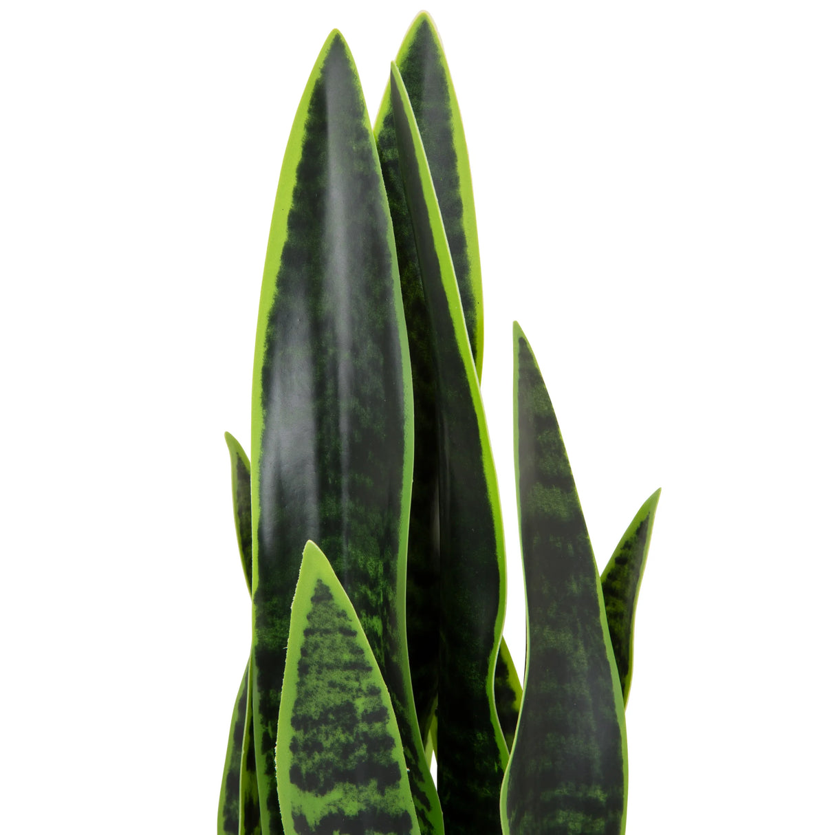 Grüne Blätter der Kunstpflanze SANSEVIERIA mit dunkelgrünen Mustern von hjh OFFICE
