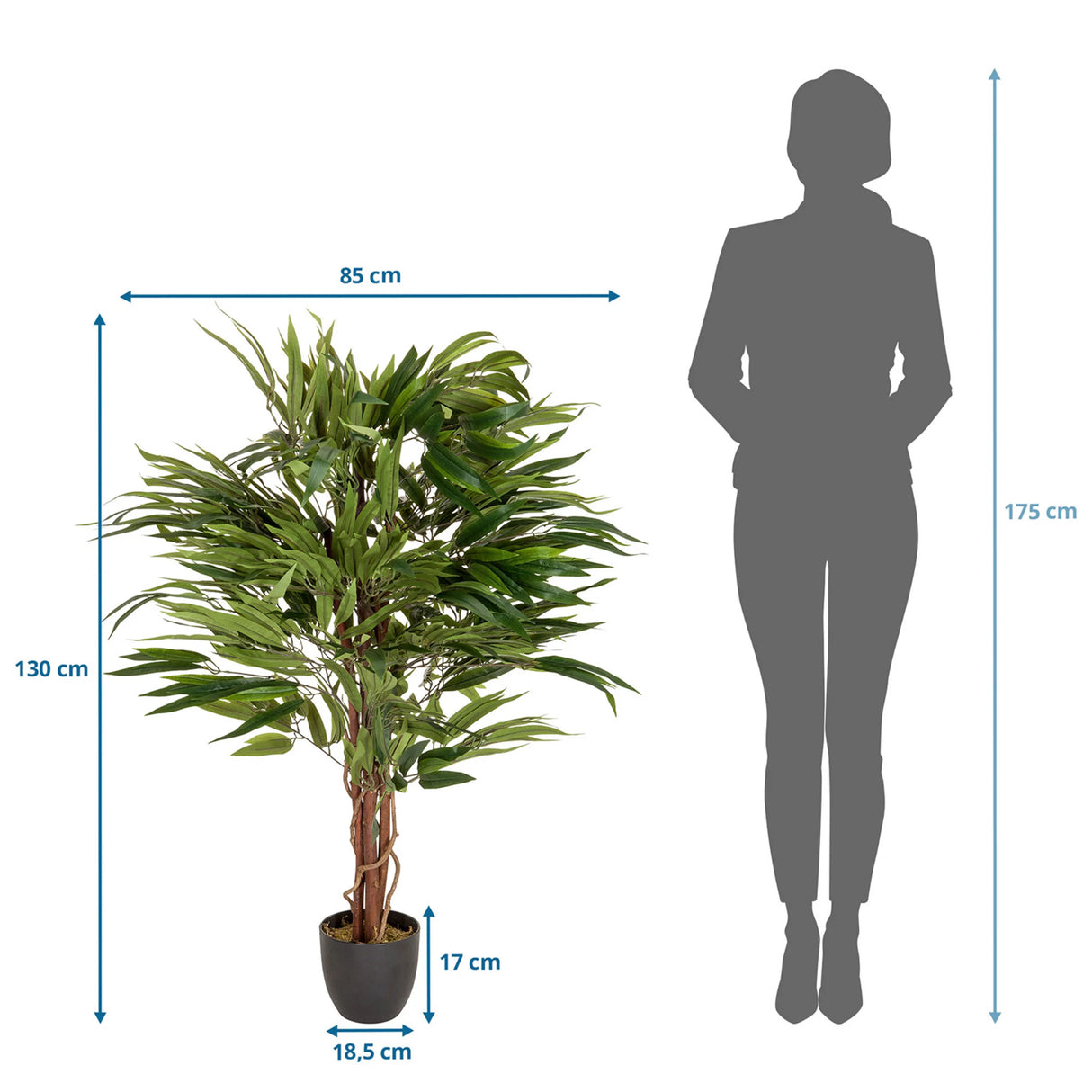 Maßzeichnung der Kunstpflanze MANGO mit einer Höhe von 130 cm und Breite von 85 cm von hjh OFFICE