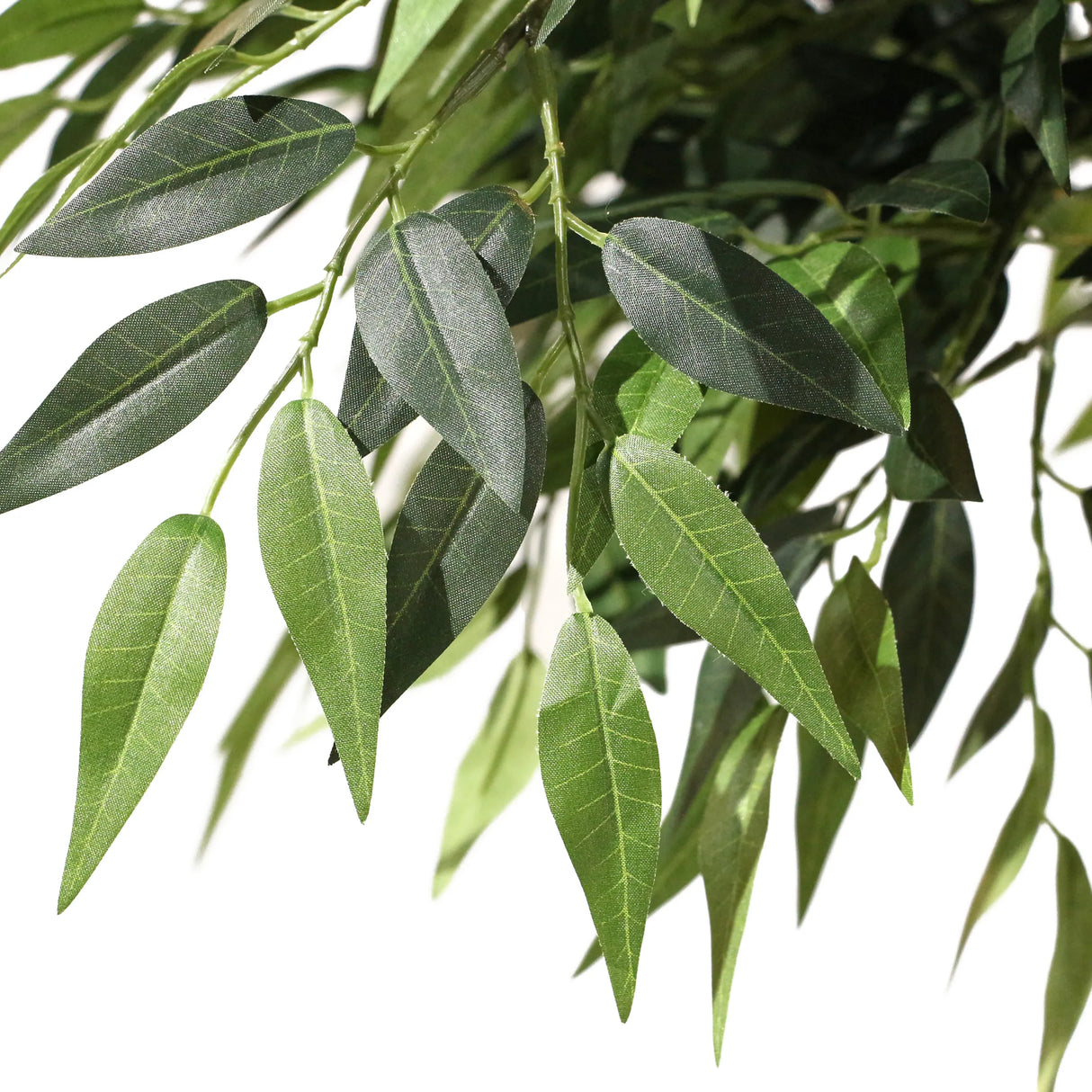 Grüne Blätter der Kunstpflanze ACACIA von hjh OFFICE