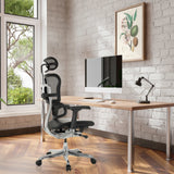 Luxus-Chefsessel ERGOHUMAN GEN2 mit schwarzem Netzstoff und Lederbezug an einem Schreibtisch von hjh OFFICE
