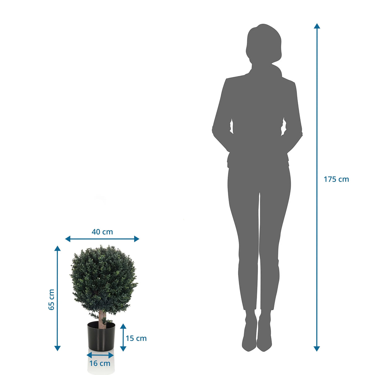 Maßansicht der Kunstpflanze BUXUS mit einer Höhe von 65 cm im Vergleich zu einer Person von hjh OFFICE