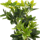 Grüne Blätter der Kunstpflanze SCHEFFLERA von hjh OFFICE