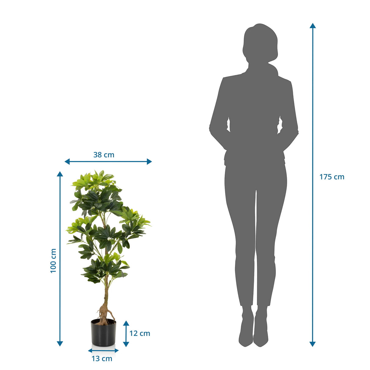 Maßansicht der Kunstpflanze SCHEFFLERA mit einer Höhe von 100 cm und Breite von 38 cm von hjh OFFICE