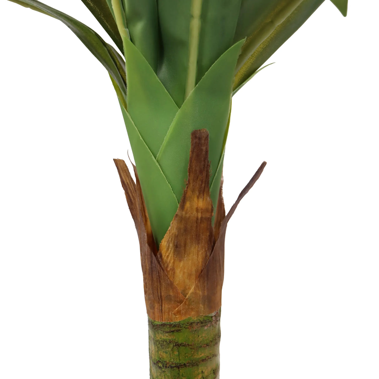 Stammansatz und grüne Blätter der Kunstpflanze DRACAENA I von hjh OFFICE