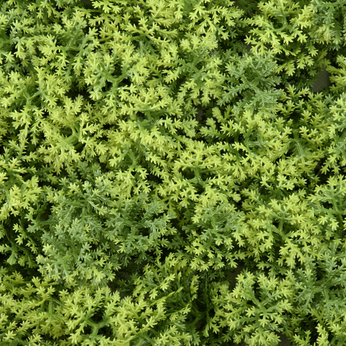 Grüne Textur der Pflanzenmatte LEAFLUXE 3 von hjh LIVING