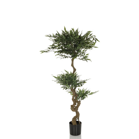 Grüne Kunstpflanze ACACIA mit geschwungenem braunem Stamm im schwarzen Topf von hjh OFFICE