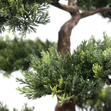 Grüne Nadelzweige und brauner Stamm der Kunstpflanze BONSAI von hjh OFFICE