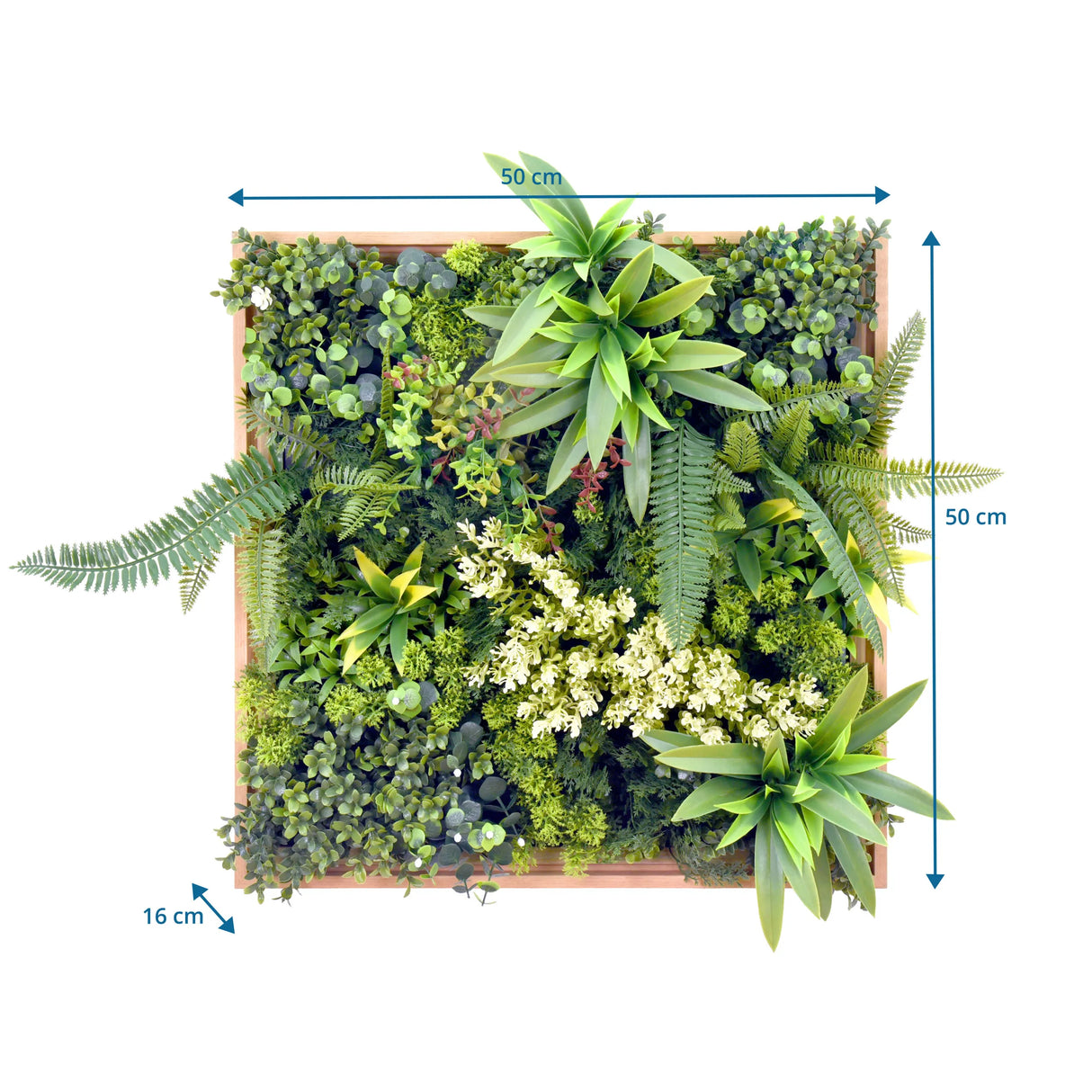 Maßzeichnung der Pflanzenmatte LEAFLUXE WALL 1 mit 50 × 50 cm und 16 cm Tiefe von hjh LIVING
