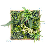 Maßzeichnung der Pflanzenmatte LEAFLUXE WALL 1 mit 50 × 50 cm und 16 cm Tiefe von hjh LIVING