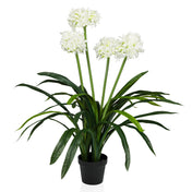 Kunstpflanze AGAPANTHUS mit weißen Blüten, grünen Blättern und schwarzem Topf von hjh OFFICE