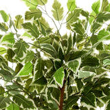 Grün-weiß panaschierte Blätter der Kunstpflanze FICUS von hjh OFFICE