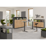 Korpus mit Stellfüßen der Serie FlexWall in Graphit mit Holzelementen von hjh OFFICE PRO