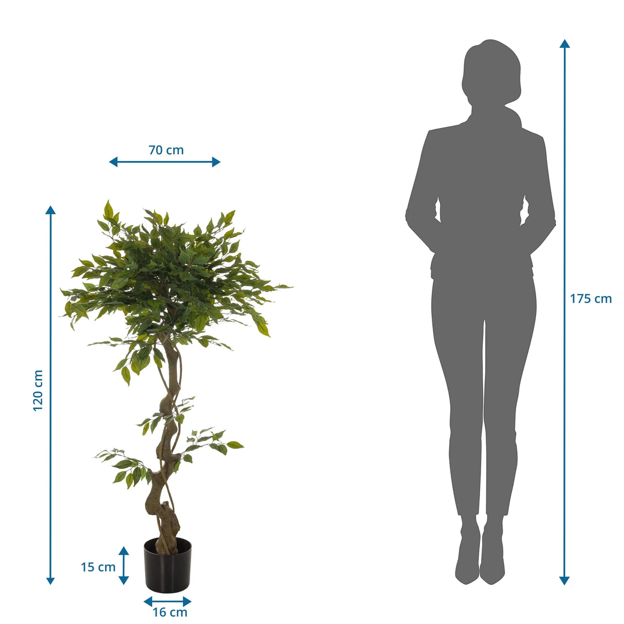Maßansicht der Kunstpflanze FICUS I mit einer Höhe von 120 cm und einer Breite von 70 cm von hjh OFFICE
