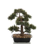 Kunstpflanze BONSAI in Form eines grünen Bonsais in einer schwarzen Schale mit Kieselsteinen von hjh OFFICE