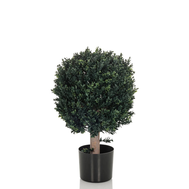 Kunstpflanze BUXUS in Grün mit kugelförmiger Krone in einem schwarzen Topf von hjh OFFICE