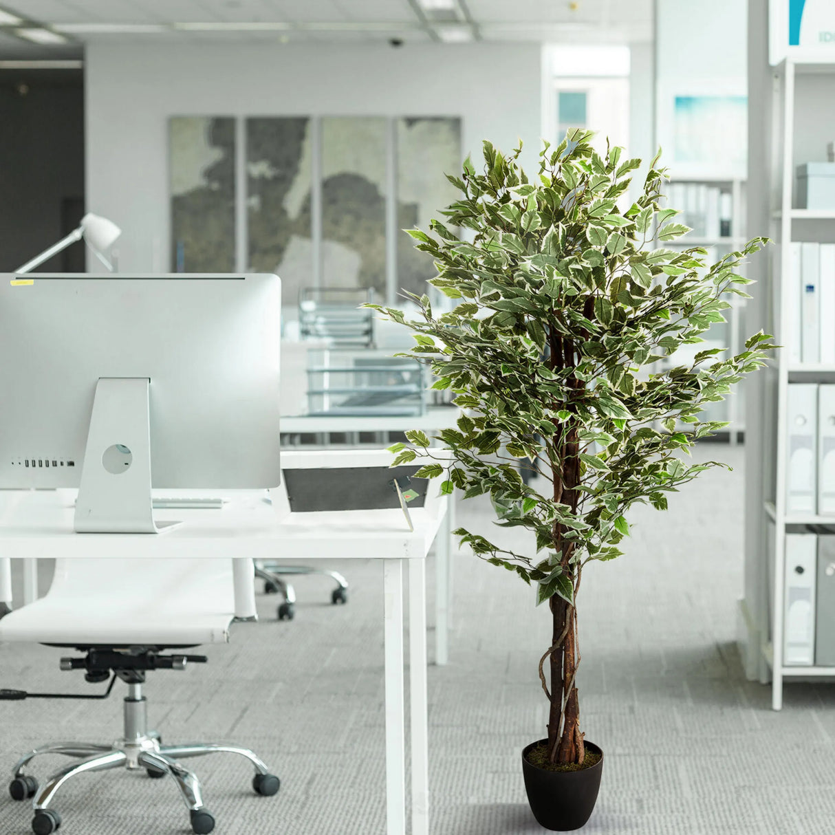 Grüne Kunstpflanze FICUS im schwarzen Top neben einem Schreibtisch von hjh OFFICE