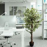 Grüne Kunstpflanze FICUS im schwarzen Top neben einem Schreibtisch von hjh OFFICE