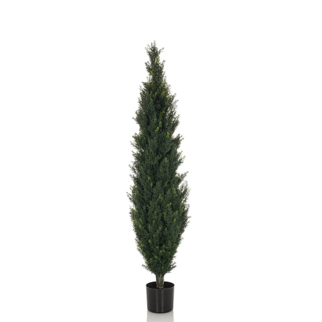 Grüne Kunstpflanze CEDRUS in schlanker Form mit schwarzem Pflanztopf von hjh OFFICE