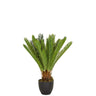Grüne Kunstpflanze CYCAS mit farnartigen Blättern in einem schwarzen Topf von hjh OFFICE