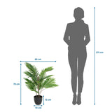 Maßzeichnung der Kunstpflanze ARECA mit einer Höhe von 70 cm und Breite von 60 cm von hjh OFFICE