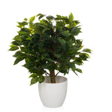 Grüne Kunstpflanze FICUS II in einem weißen Übertopf von hjh OFFICE – 360-Grad-Ansicht (Seitenprofil 90°)