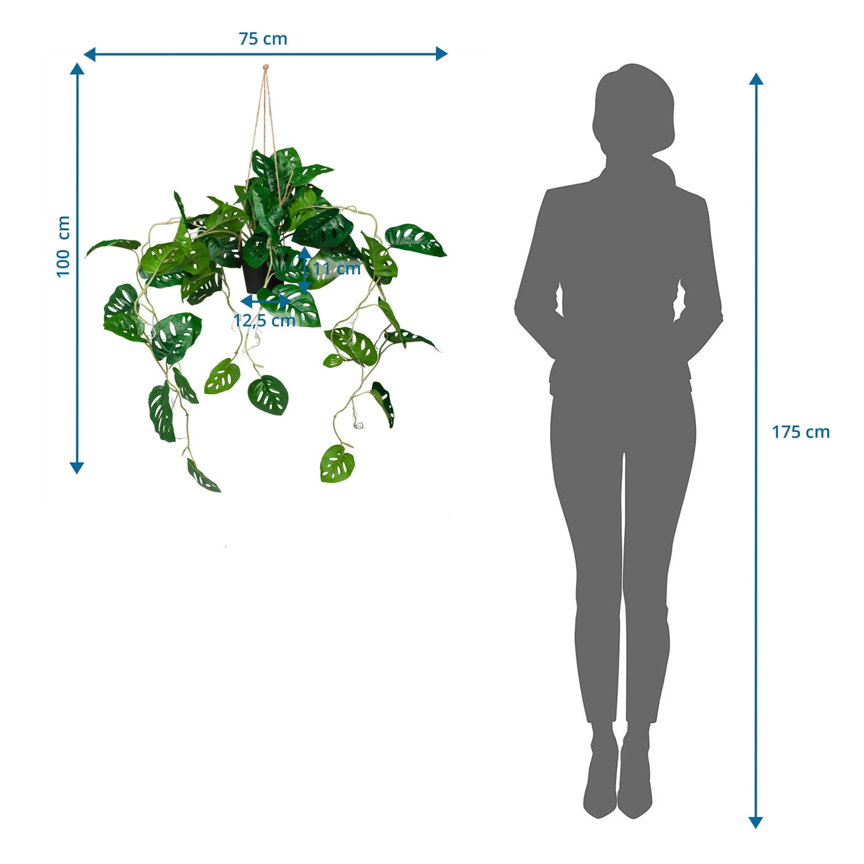 Maßzeichnung der Kunstpflanze MONSTERA CLIMB mit einer Gesamthöhe von 100 cm von hjh OFFICE