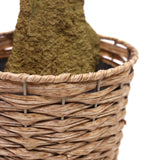 Geflochtener Korb mit Pflanzenstamm der Kunstpflanze OLIVE II von hjh OFFICE