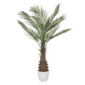 Grüne Kunstpflanze DRACAENA mit fächerartigen Palmblättern in einem weißen Topf von hjh OFFICE