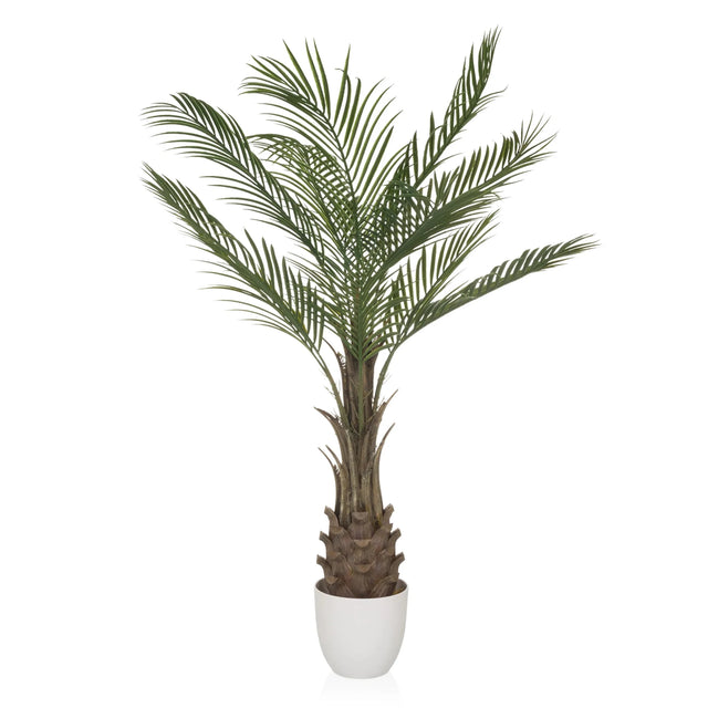 Grüne Kunstpflanze DRACAENA mit fächerartigen Palmblättern in einem weißen Topf von hjh OFFICE
