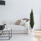 Grüne Kunstpflanze CEDRUS in einem weißen Topf neben einem weißen Sofa von hjh OFFICE
