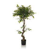 Grüne Kunstpflanze FICUS I mit geflochtenem Stamm in einem schwarzen Topf von hjh OFFICE – 360-Grad-Ansicht (Frontansicht 0°)
