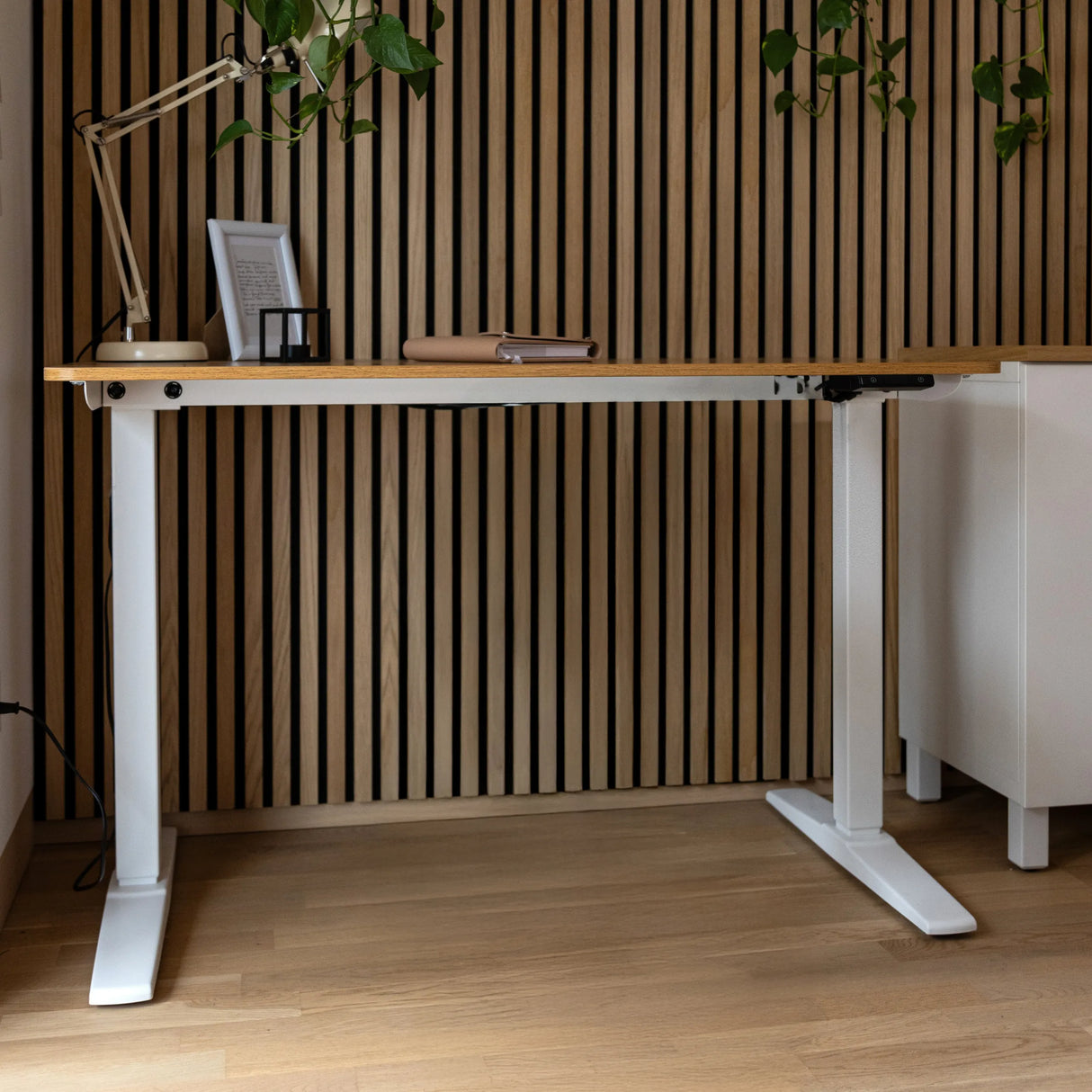 Elektrisch höhenverstellbarer Schreibtisch STAND BASIC in Weiß und Eiche mit zwei Standfüßen von hjh OFFICE