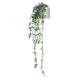 Grüne Kunstpflanze EUCALYPTUS CLIMB mit herabhängenden Blättern in einem weißen Topf von hjh OFFICE