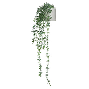 Grüne Kunstpflanze EUCALYPTUS CLIMB mit herabhängenden Blättern in einem weißen Topf von hjh OFFICE