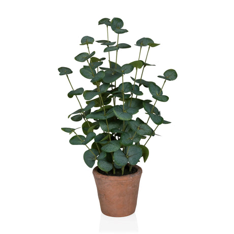 Kunstpflanze Eucalyptus in grüner Farbe mit runden Blättern in einem braunen Tontopf von hjh OFFICE