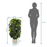 Maßzeichnung der Kunstpflanze Schefflera 2 mit einer Höhe von 110 cm und Breite von 48 cm von hjh OFFICE